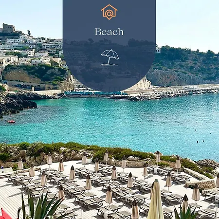 Dehomes - Castro Sul Mare *