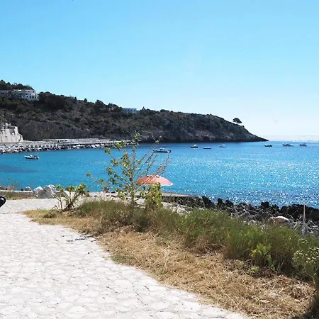 Dehomes - Castro Sul Mare